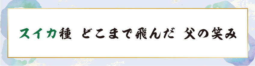 スイカ種 どこまで飛んだ 父の笑み