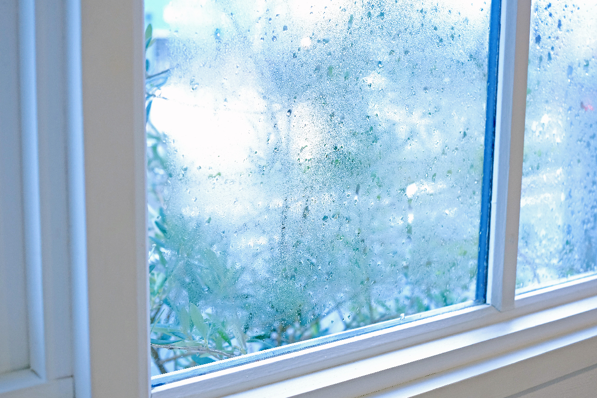 カビと結露の対策をはじめるなら秋。9月からのマンション暮らし湿気対策