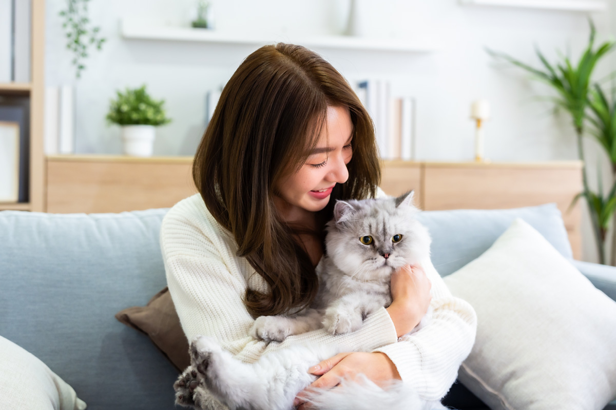ペットとの快適な生活をプロがご自宅でサポート!ペットシッターとは?