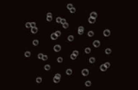 ウルトラファインバブル